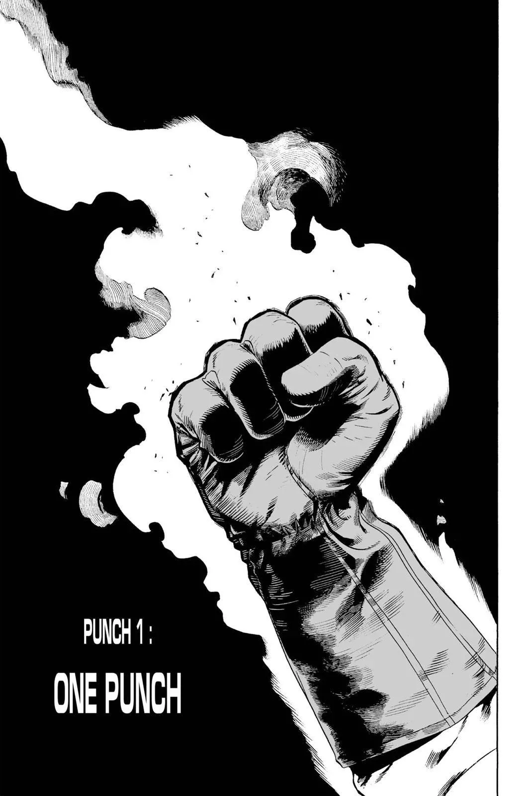 One Punch Man chapter 1 ảnh 6