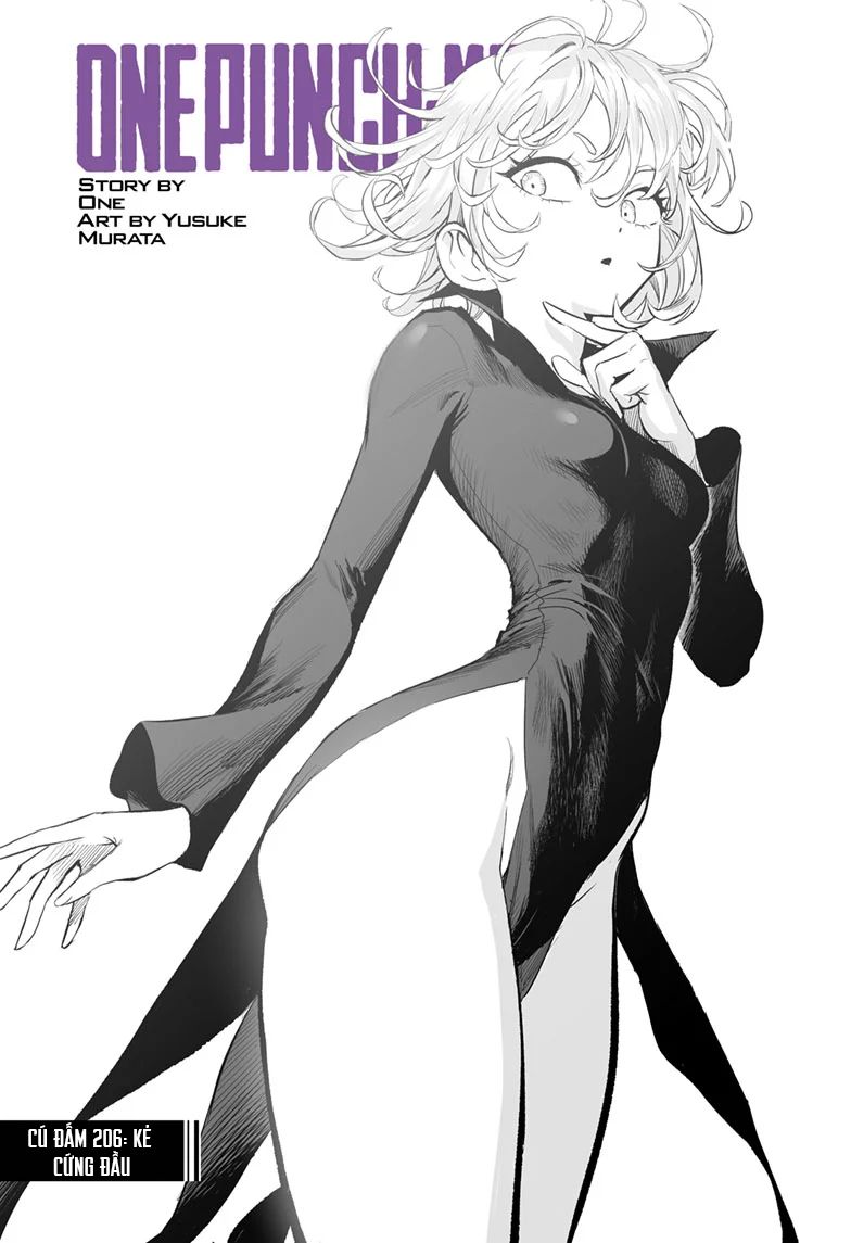 One Punch Man chapter 206 ảnh 1
