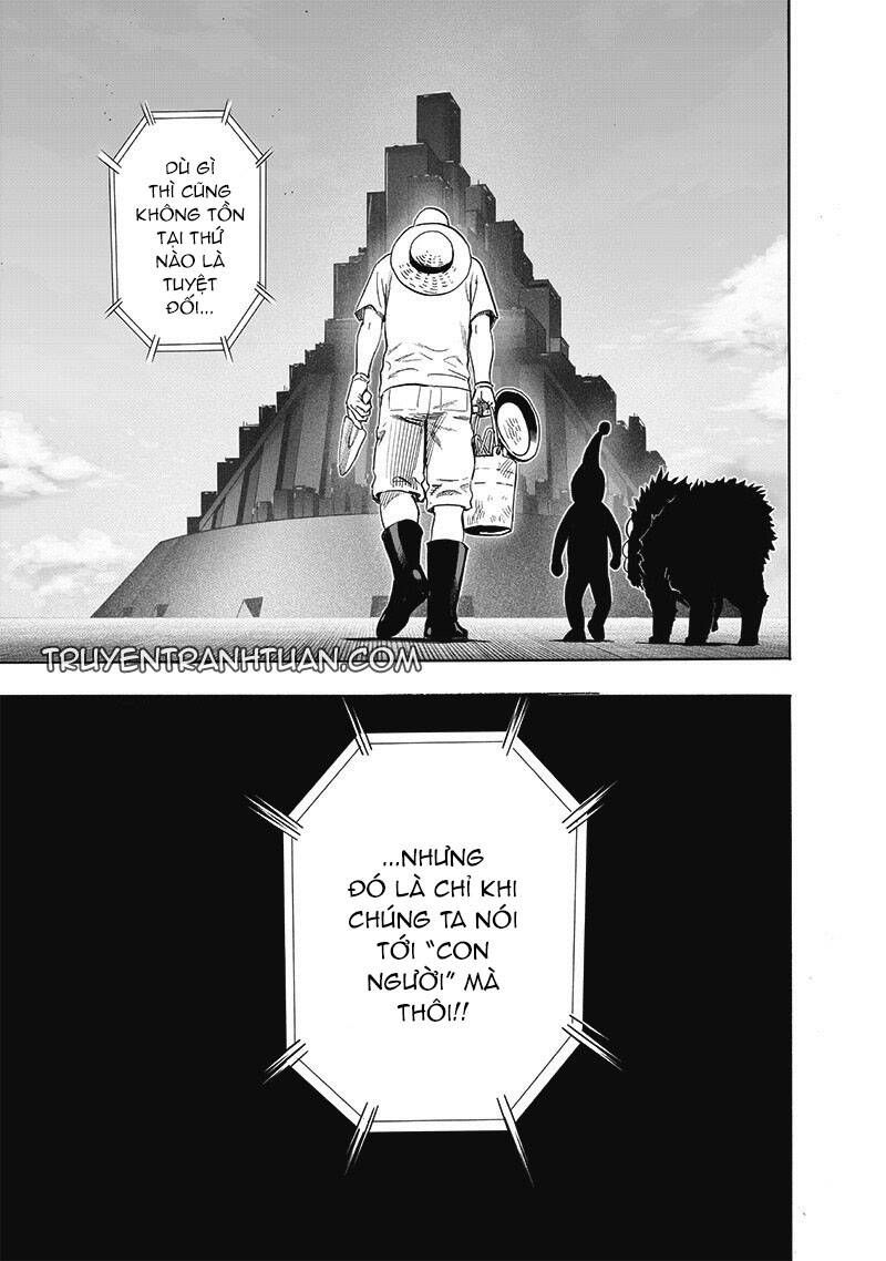 One Punch Man chapter 219 ảnh 12
