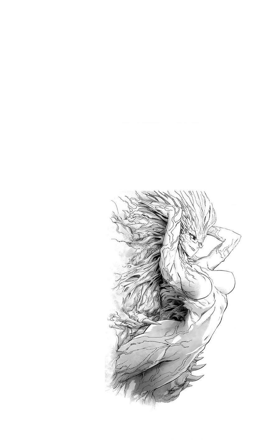 One Punch Man chapter 234.5 ảnh 15