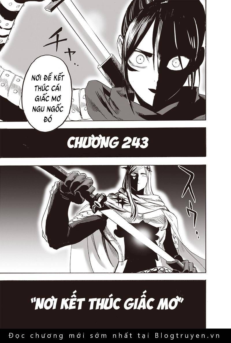 One Punch Man chapter 243 ảnh 21