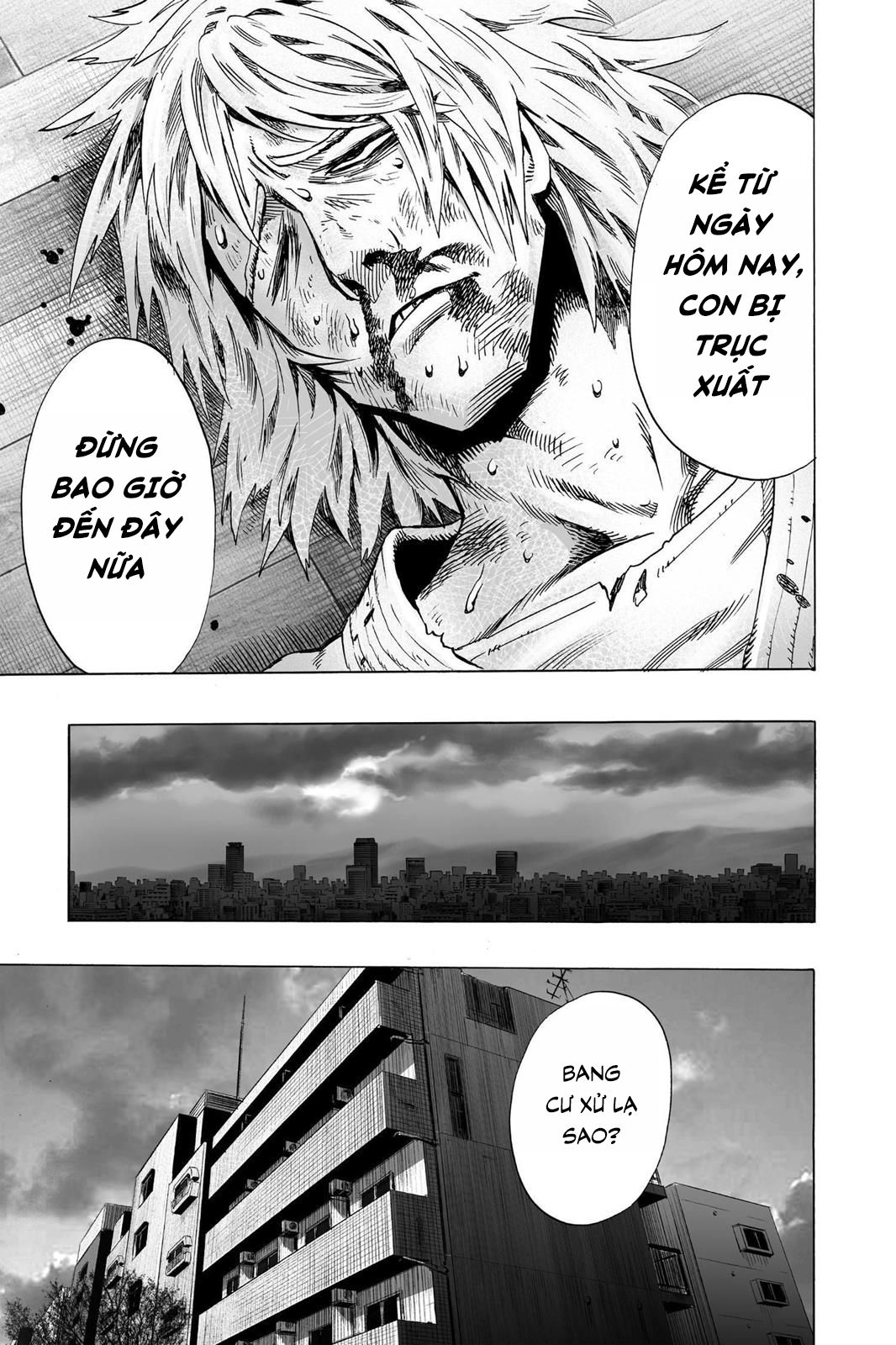 One Punch Man chapter 46 ảnh 3